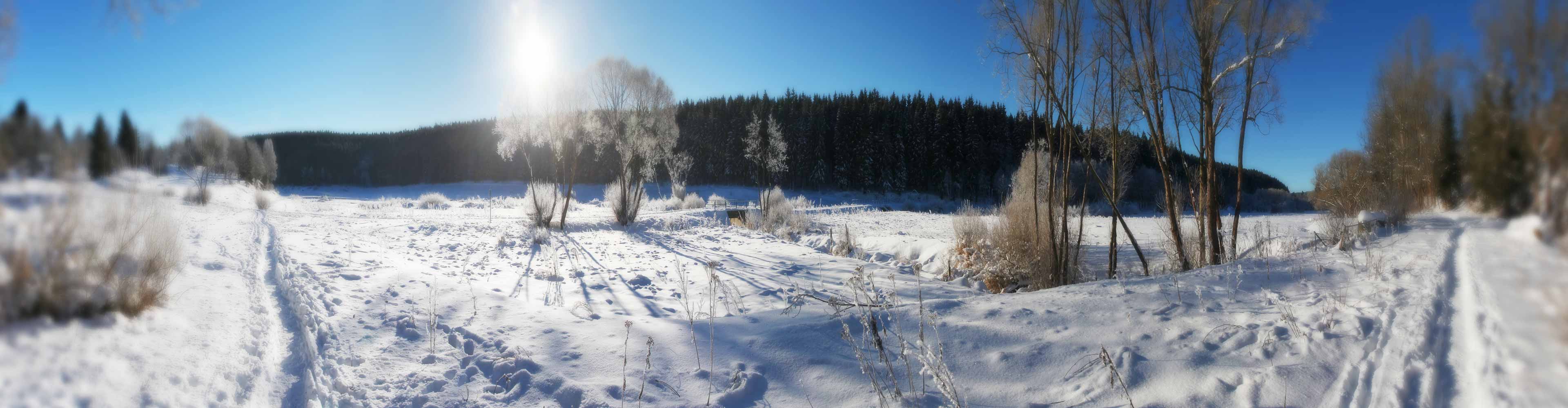 Weltkulturerbestätten Unesco Harz Mandelholz
