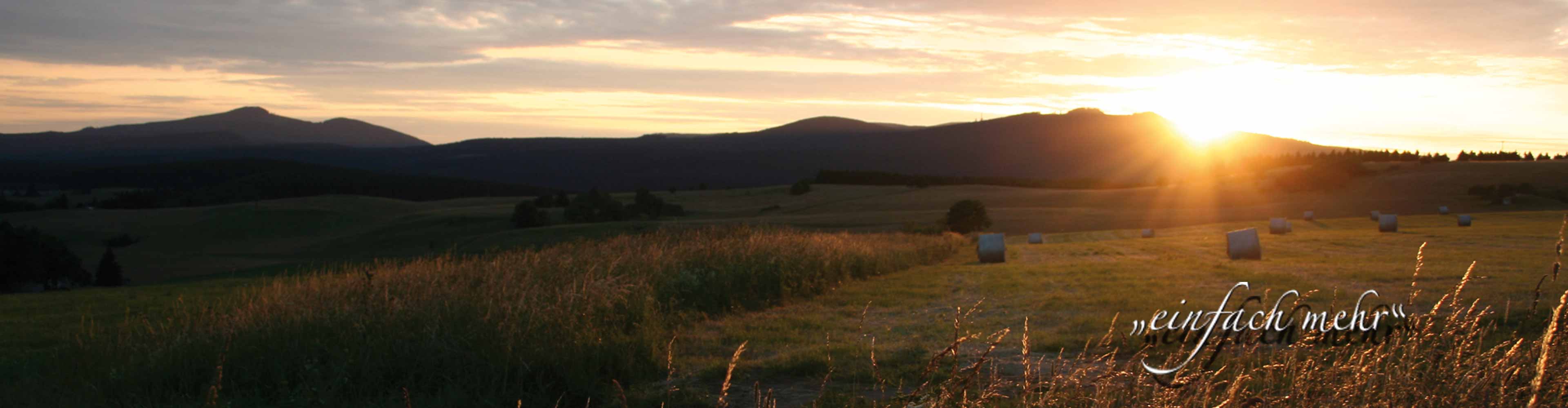 Sommer Spezial Harz Mandelholz