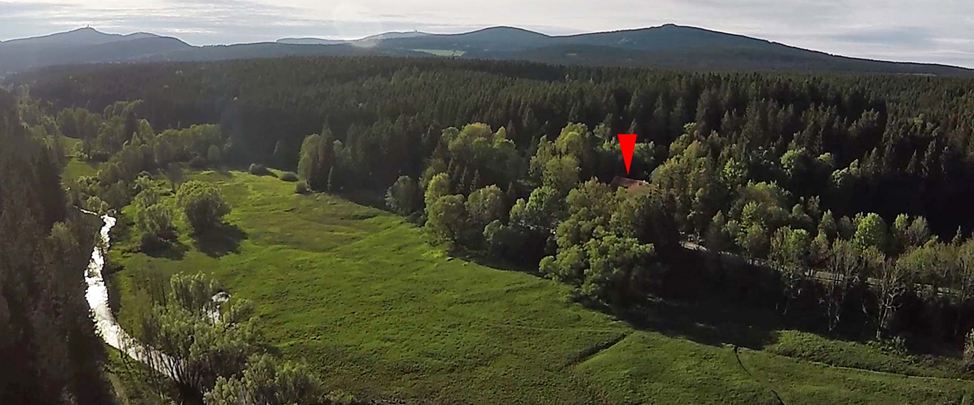 Gute Gründe Mandelholz Harz