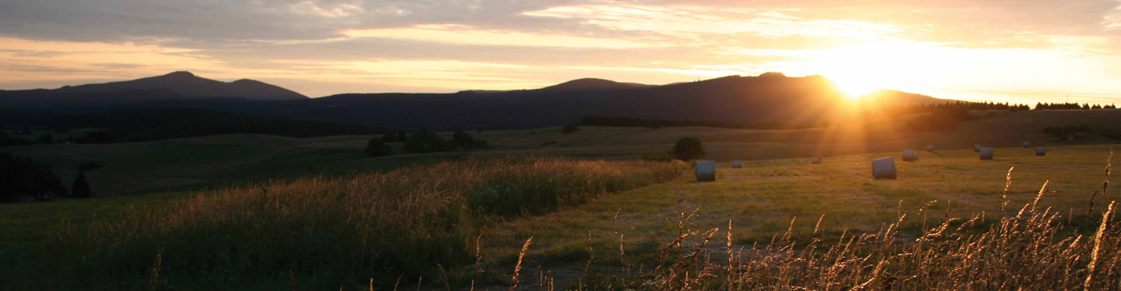 Lage Harz Mandelholz