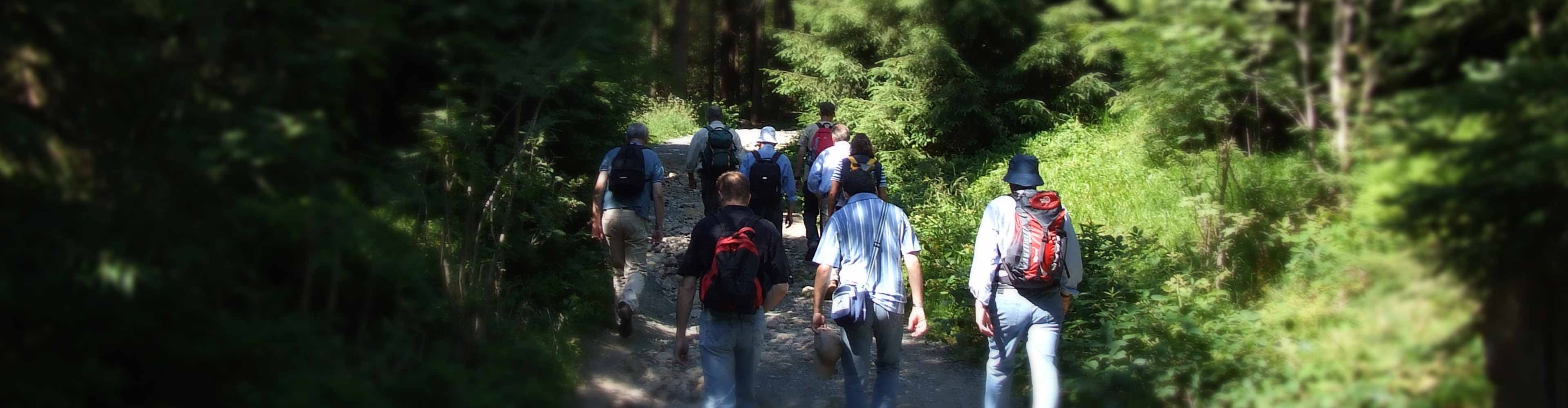 aktiv Harz Mandelholz