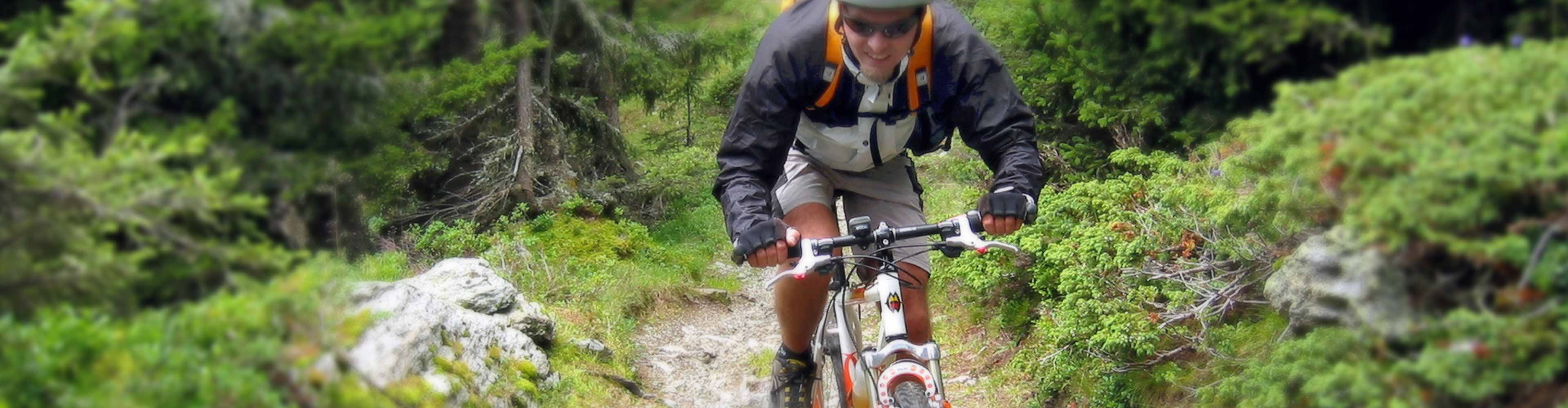 aktiv Harz Mandelholz