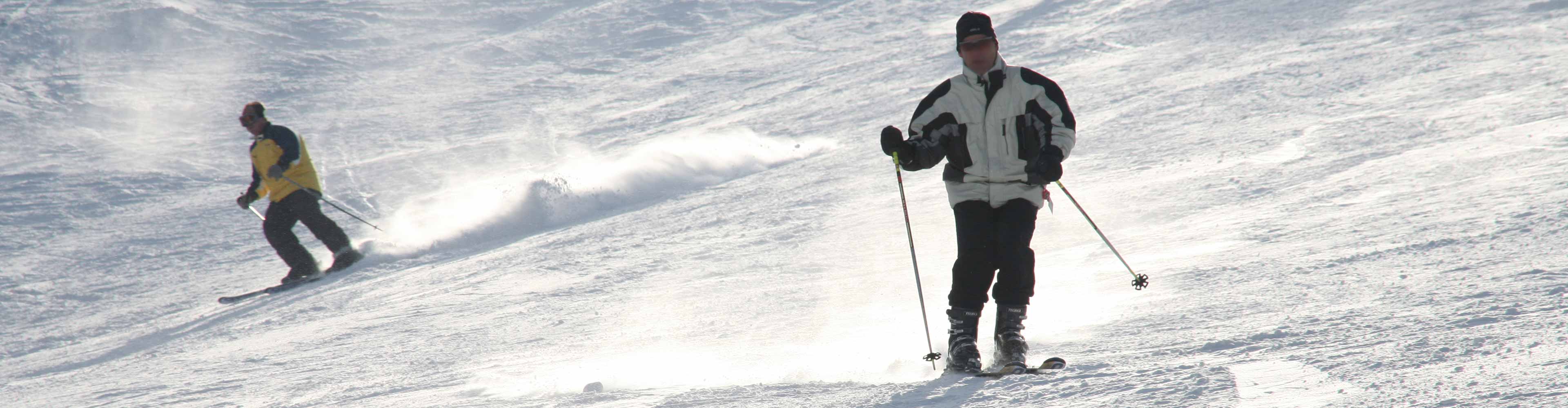 winter Harz Mandelholz