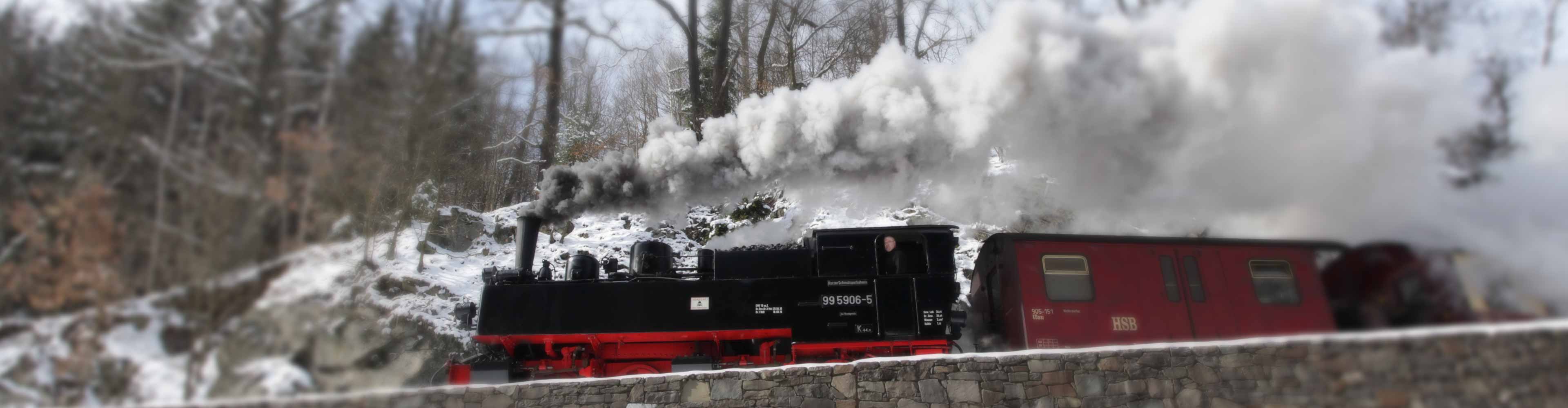 Zug Train Harz Mandelholz