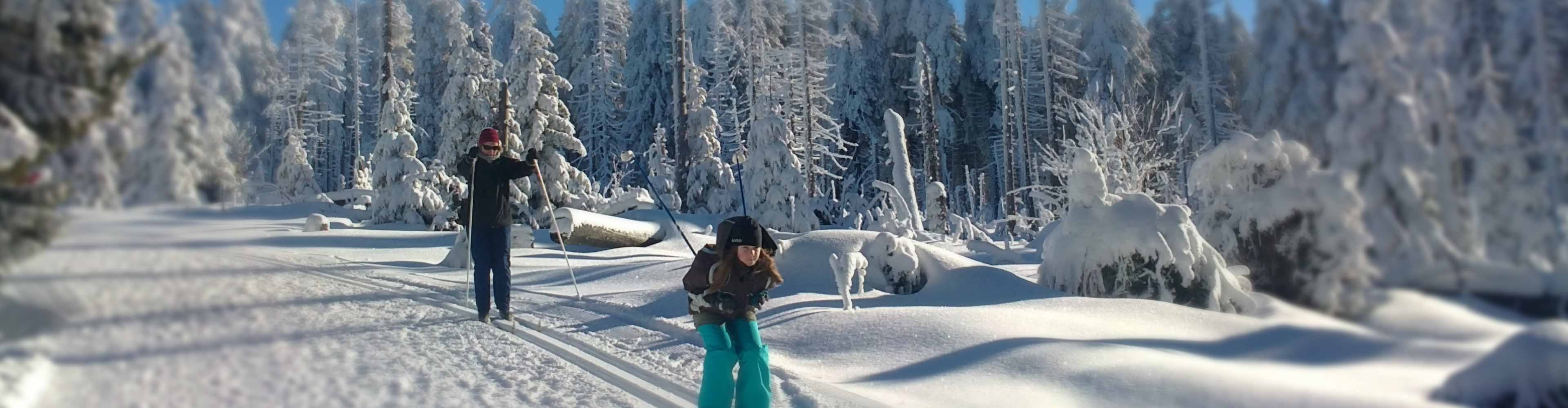 Winter Harz Mandelholz