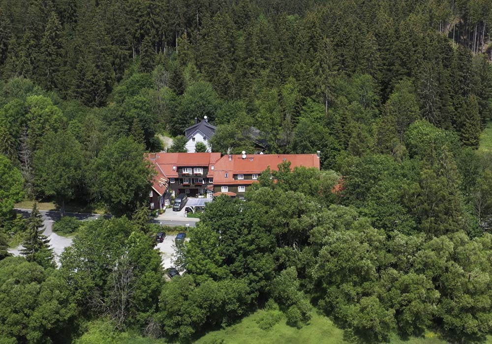 Mandelholz am Nationalpark Hasrz