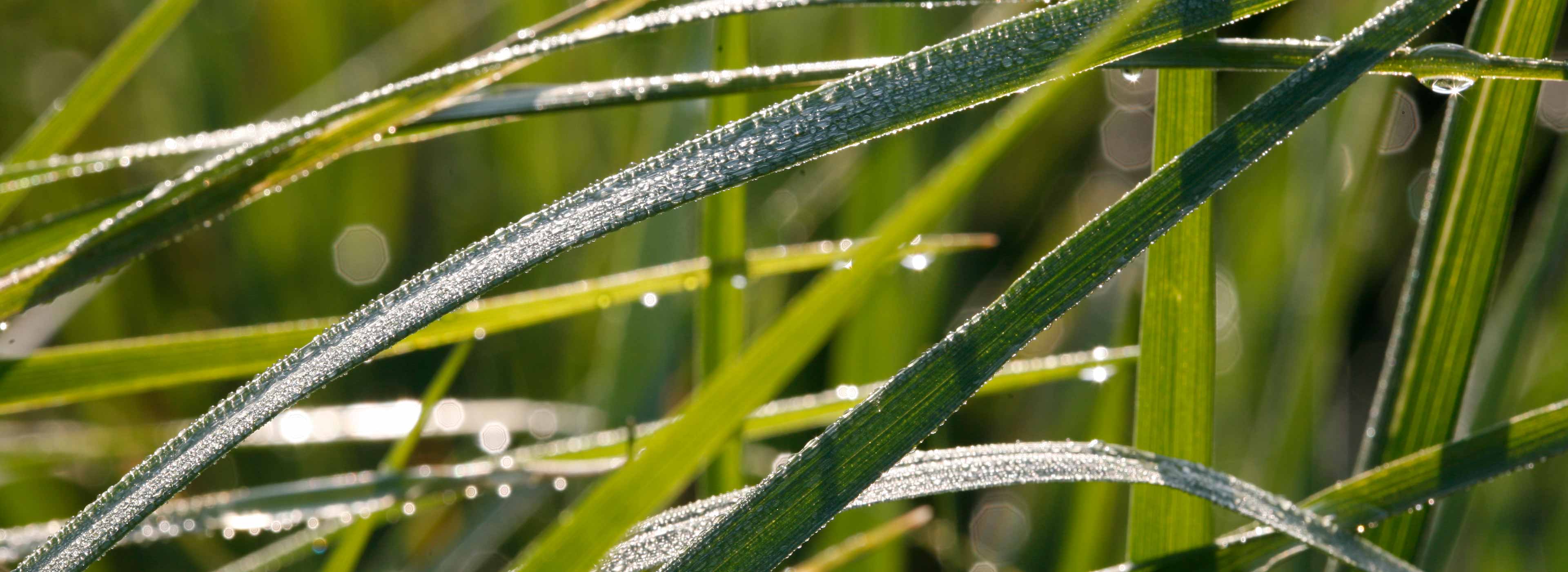 Hotel Mandelholz Wellness