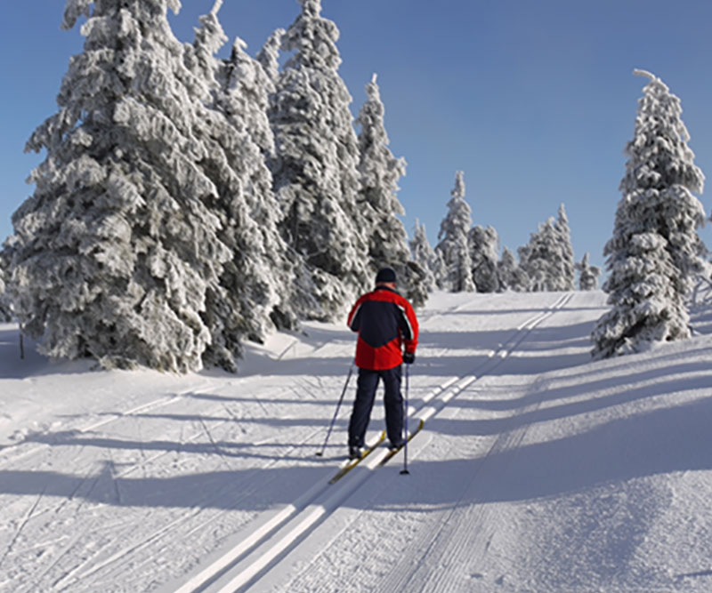Langlauf Harz Mandelholz