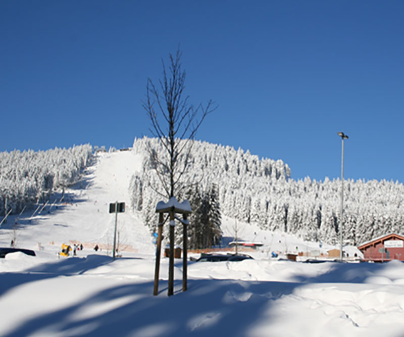 Schnee Harz Mandelholz