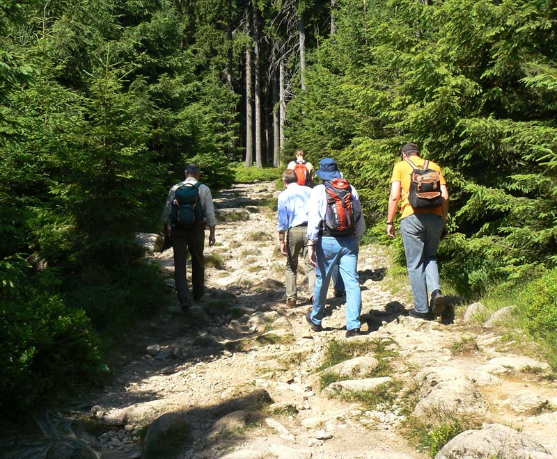 sieben auf einen Streich im Harz bei Mandelholz erwandern