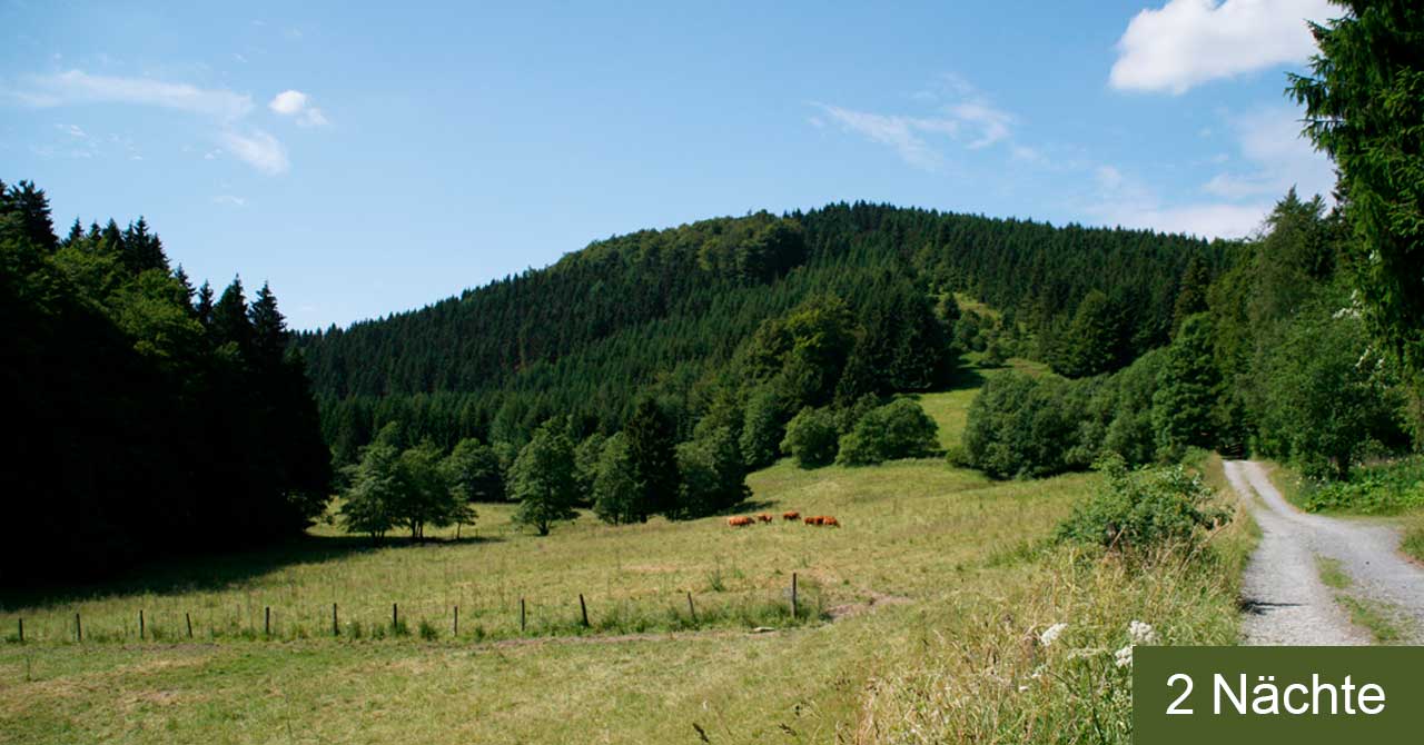 Abgelegene Wege im Harz