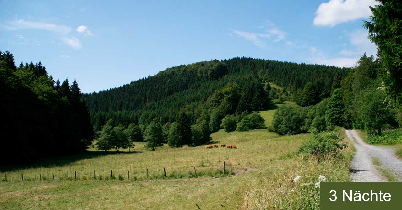 abgelegene Wege Harz Mandelholz