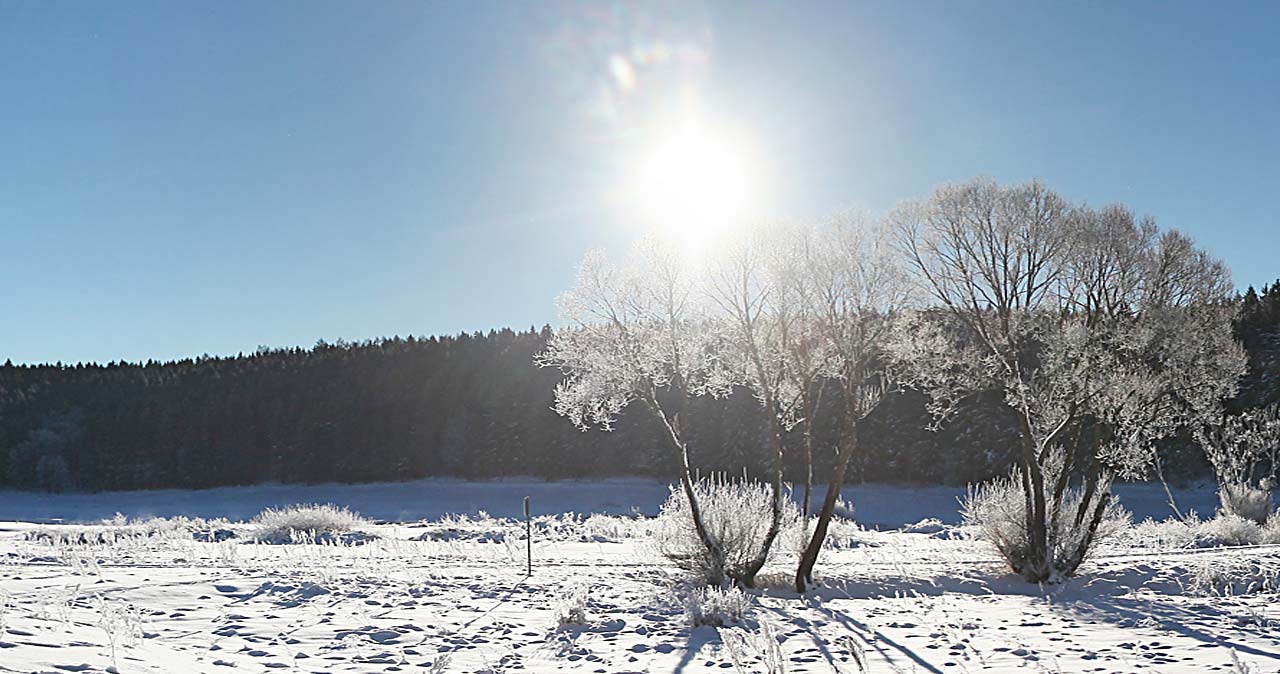 Ein gesundes und gutes neues Jahr aus dem Harz