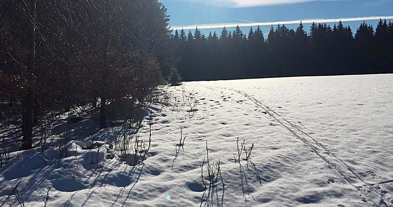 Wintersport am Brocken