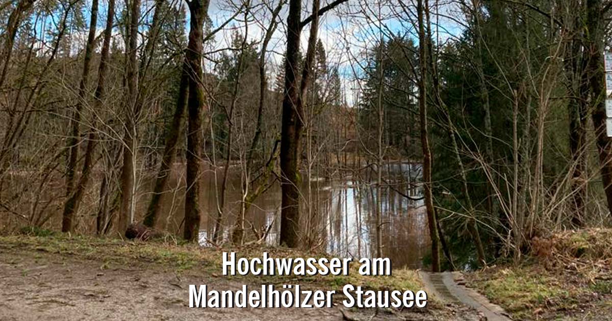 Hochwasser-an-der-kalten-Bode
