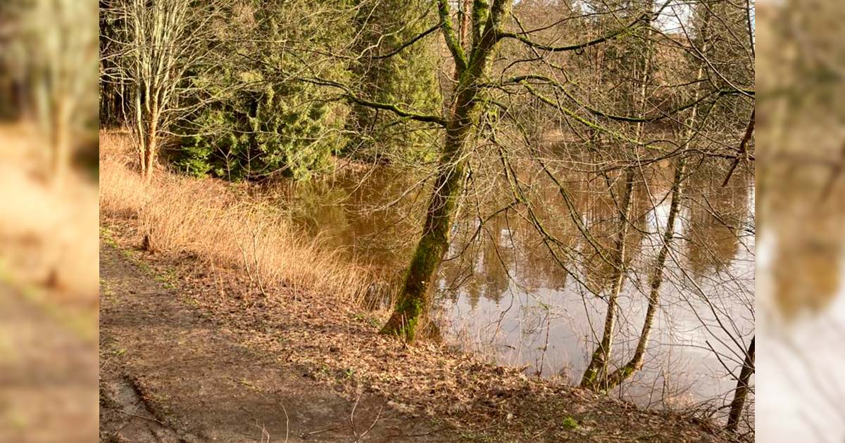 Hochwasser-an-der-kalten-Bode