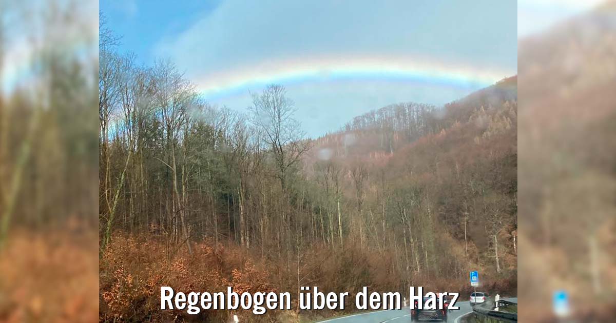 Regenbogen-bei-Schierke