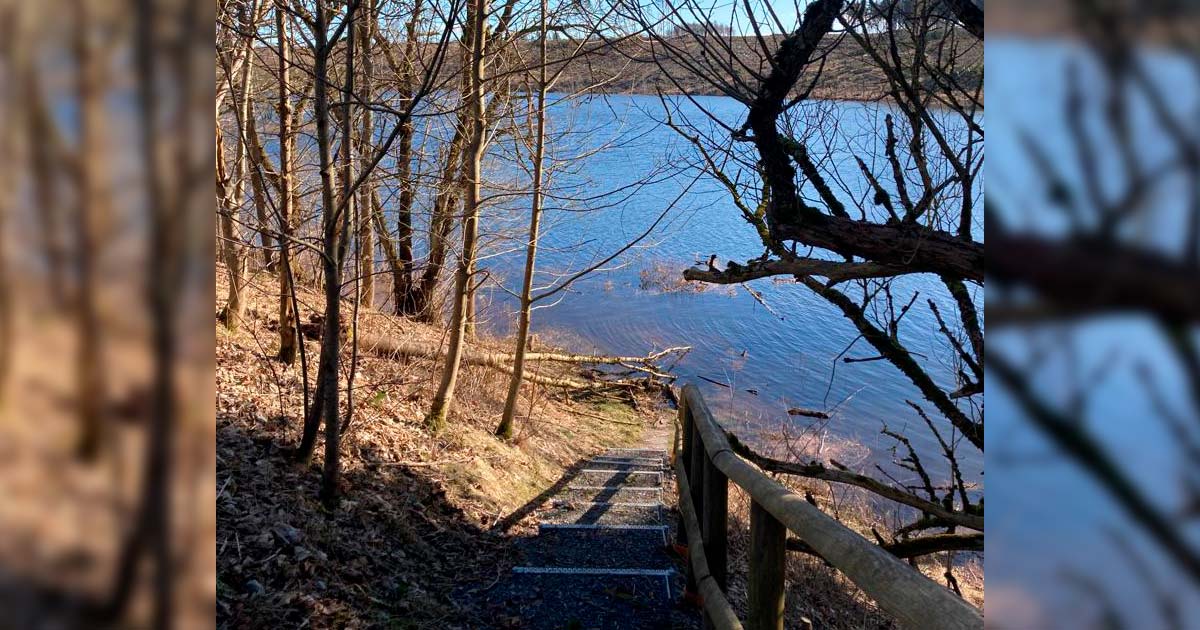Sturmschaeden-und Hochwasser-im-Bodetal