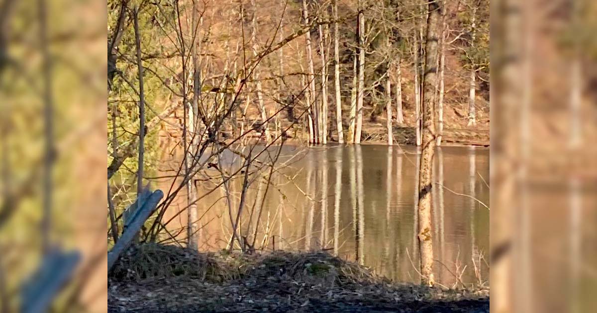 Sturmschaeden-und Hochwasser-im-Bodetal