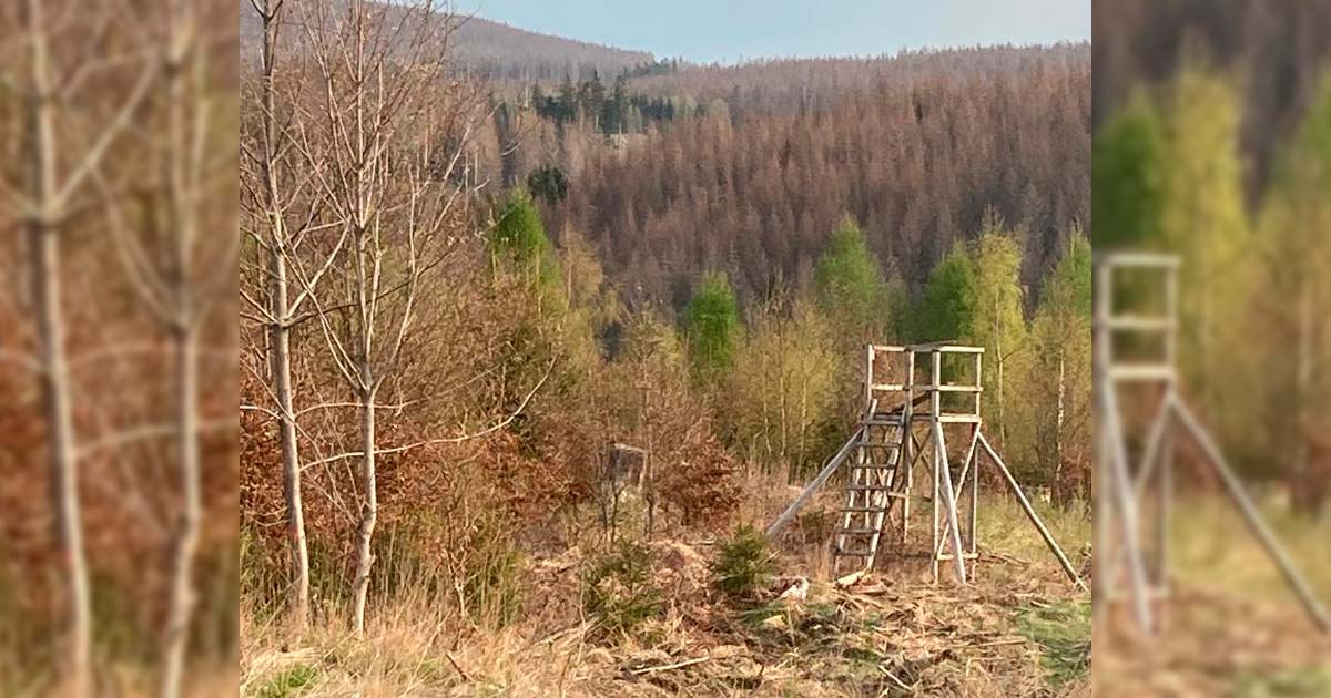 Der-Oberharz-erwacht