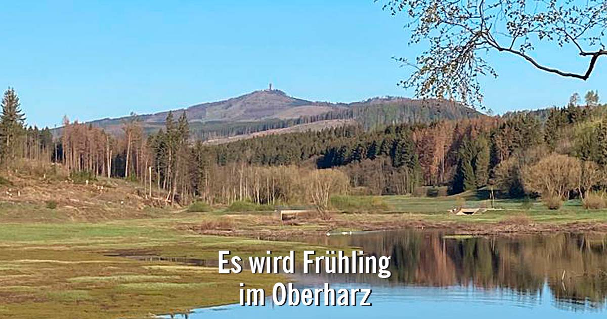 Fruehling-an-der-Mandelholzer-Talsperre