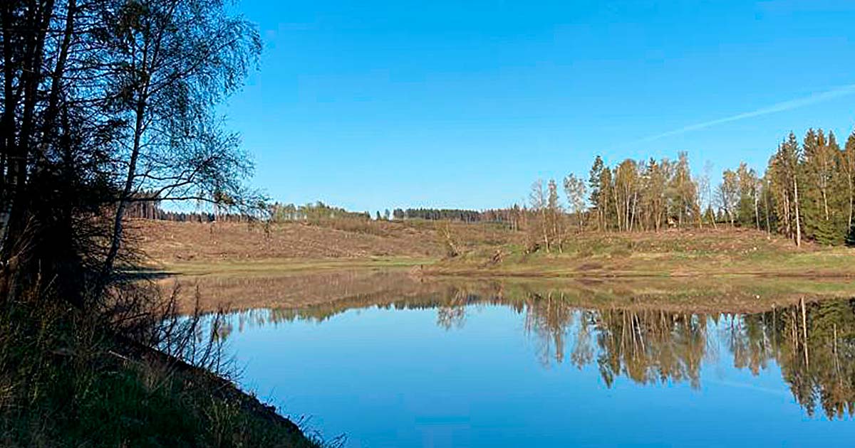Fruehling-an-der-Mandelholzer-Talsperre