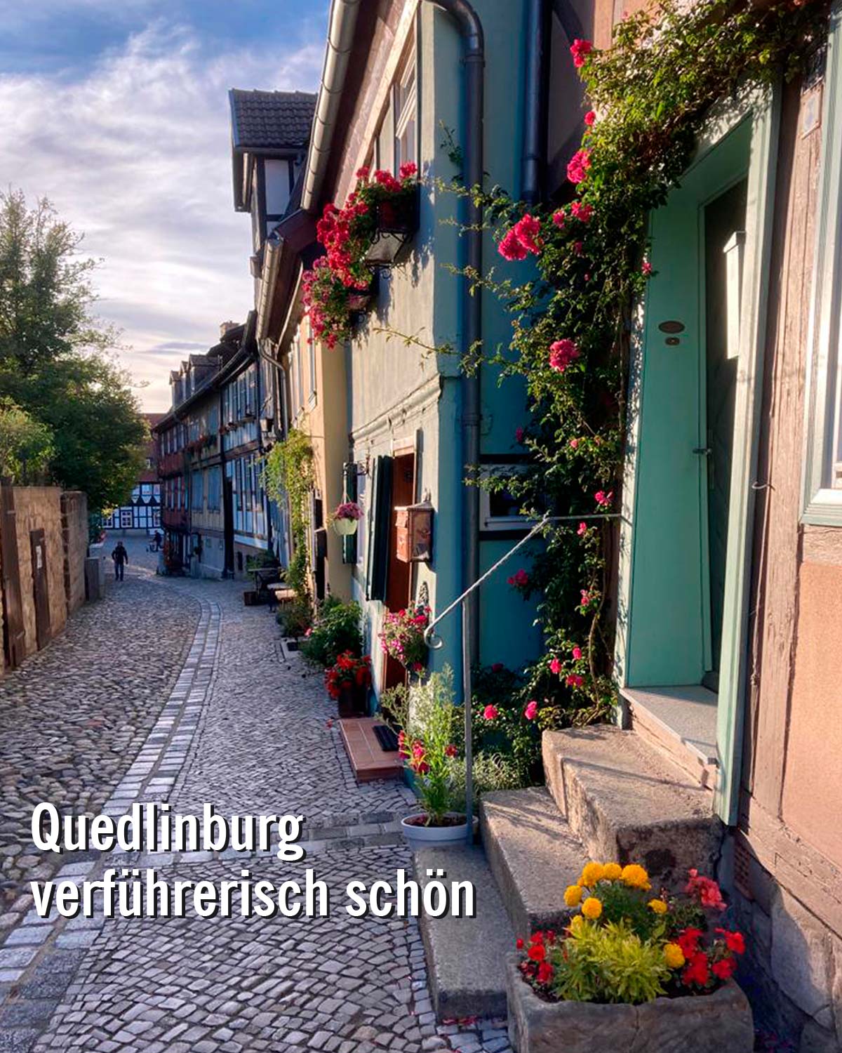 Ein Ausflug von Mandelholz nach Quedlinburg