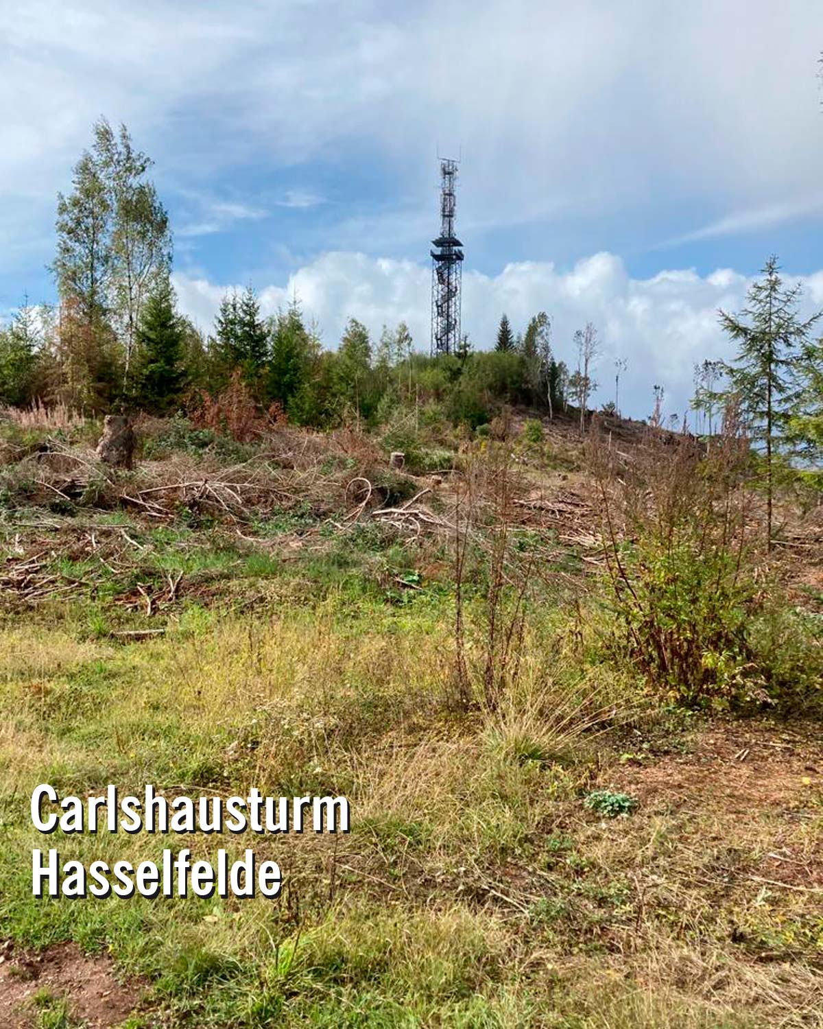 Ausflug zum Carlsturm von Mandelholz Harz
