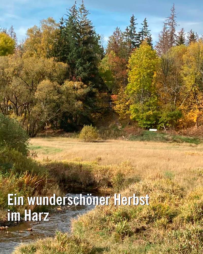 Herbst-im-Harz
