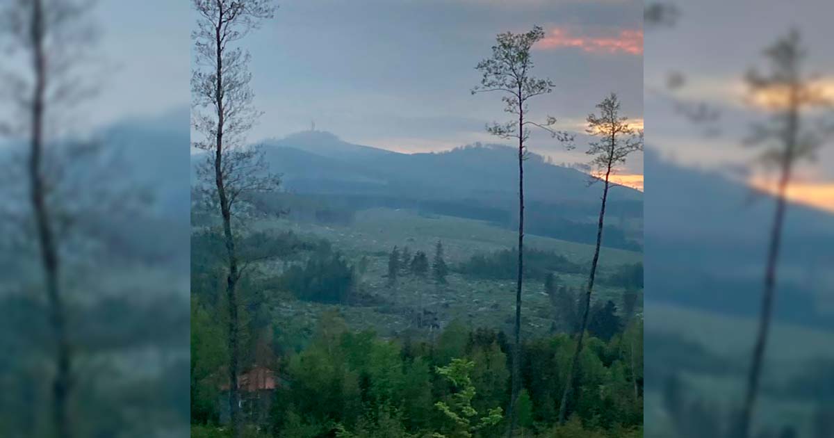 Mandelholz Wetter Regen Gewitter