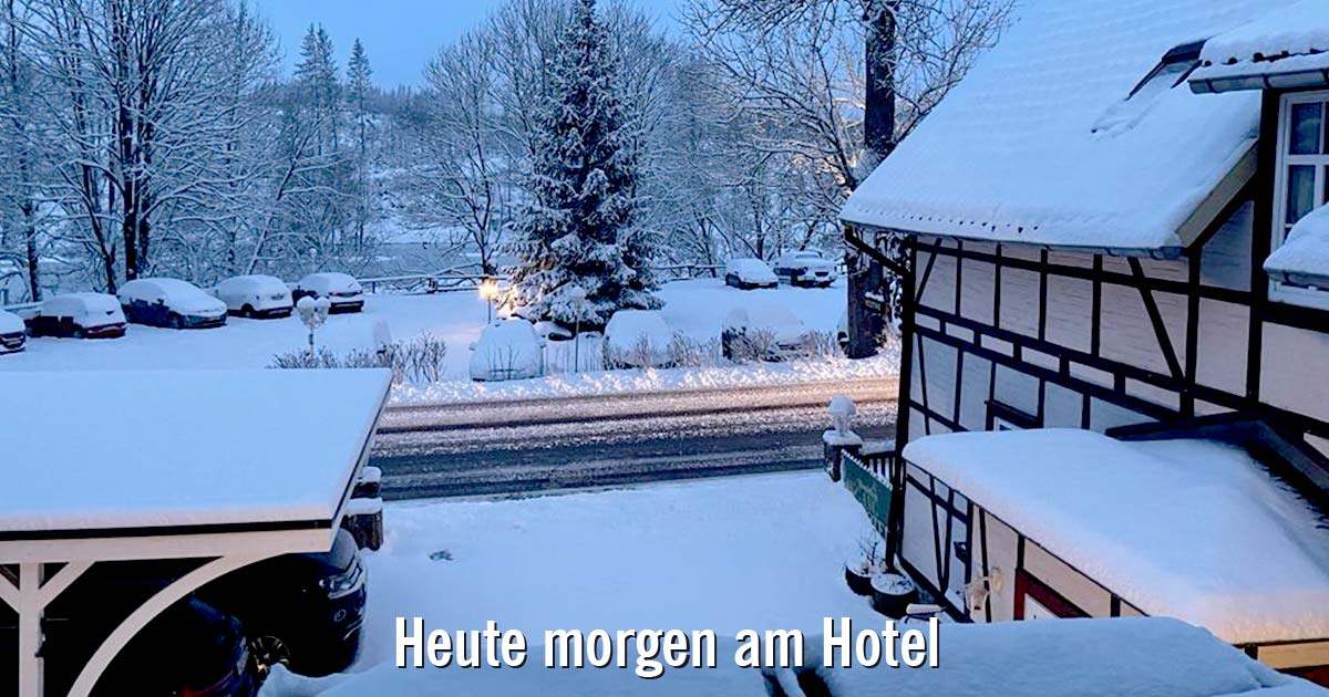 Mandelholz Harz Winter