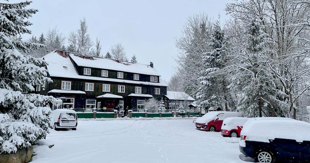 Mandelholz Harz Winter