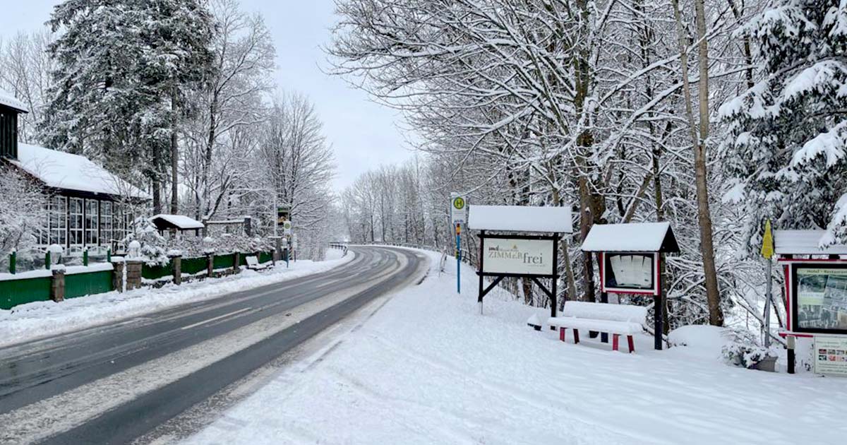 Mandelholz Harz Winter