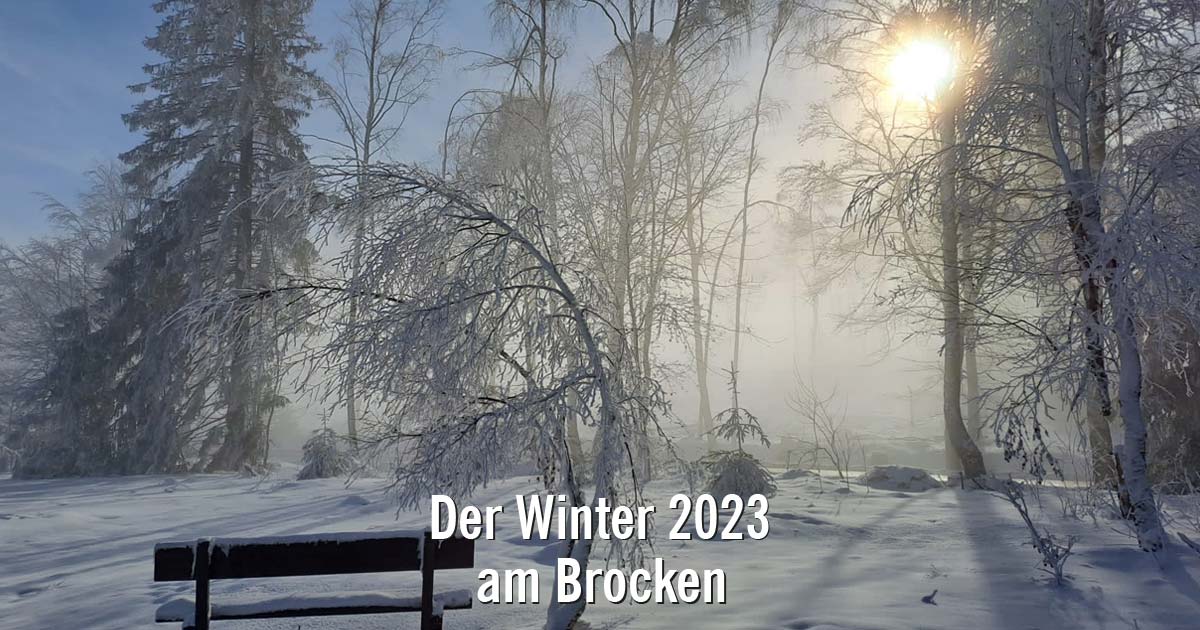 Winter am Brocken im Harz