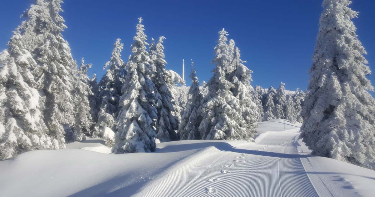 Winter am Brocken im Harz