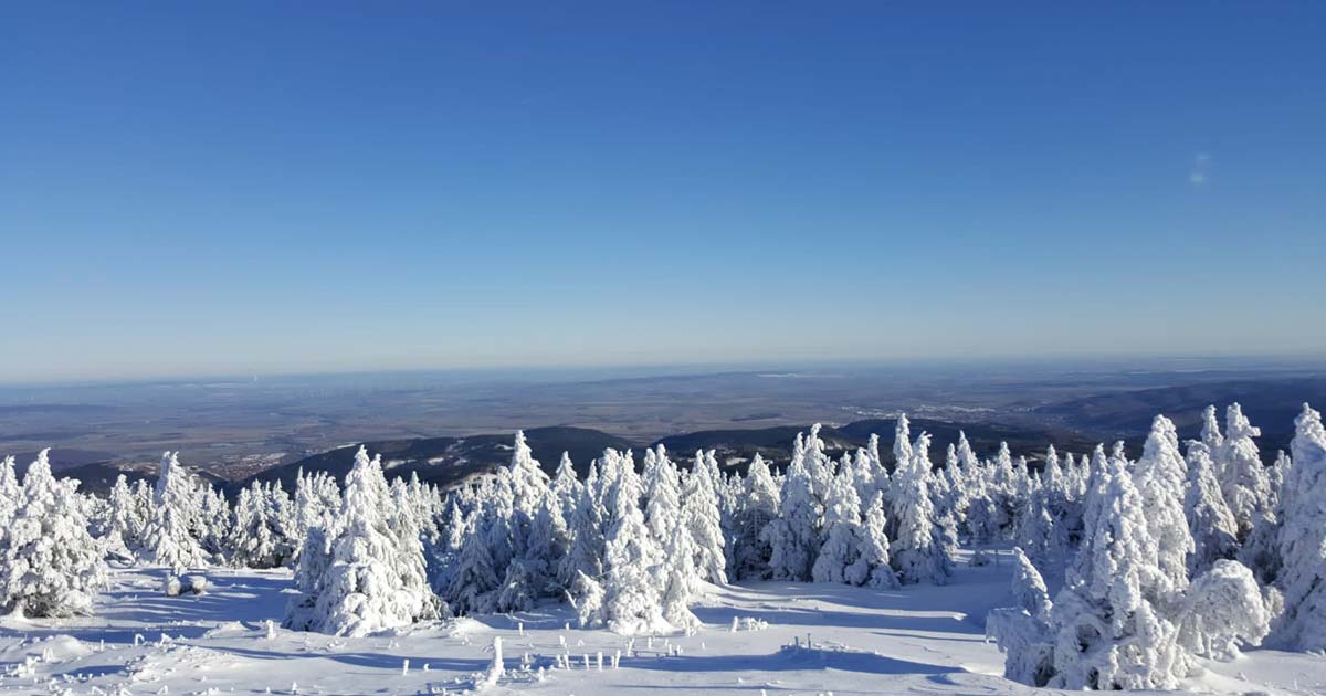 Winter am Brocken im Harz