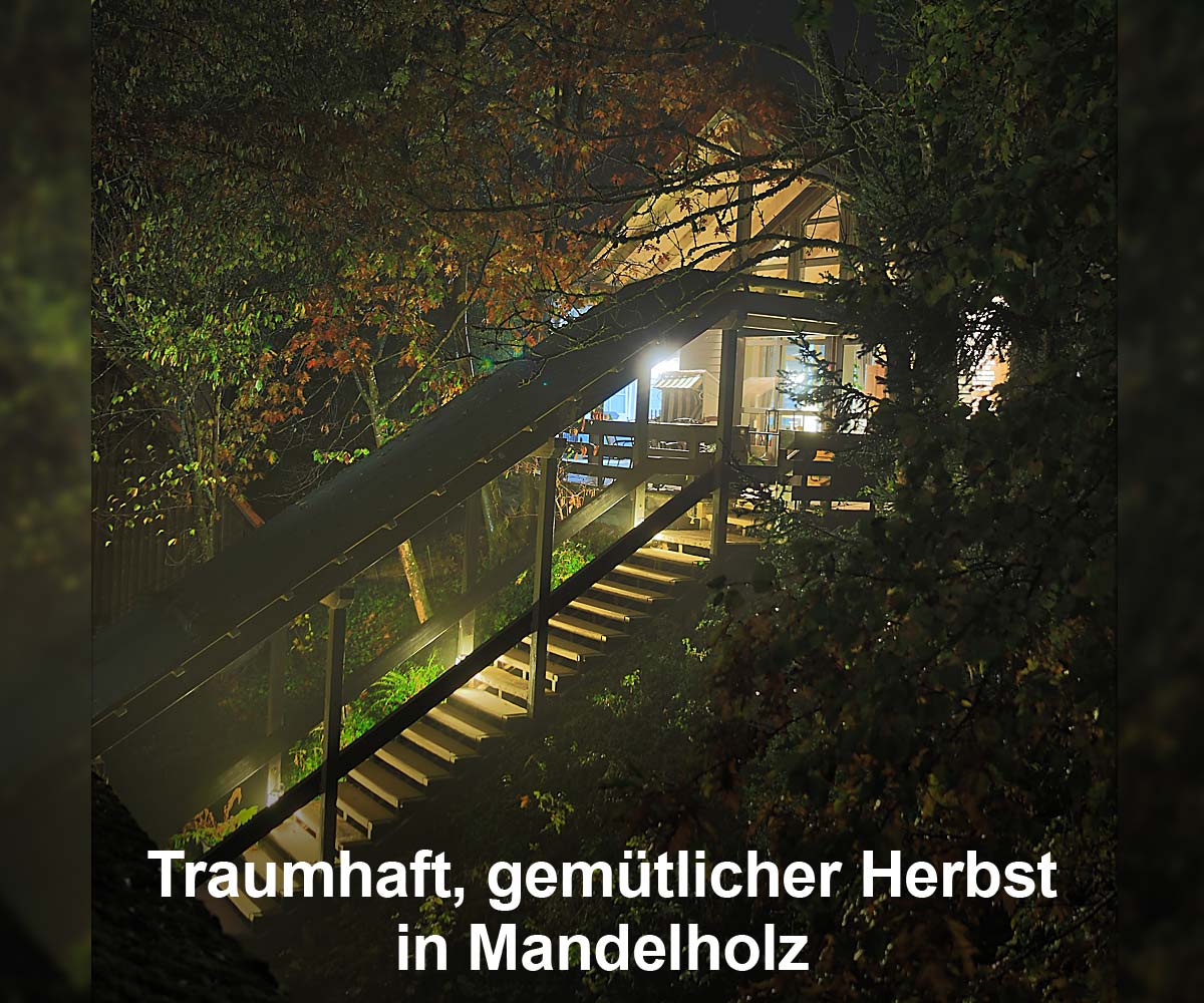 Herbst in Mandelholz - Harz
