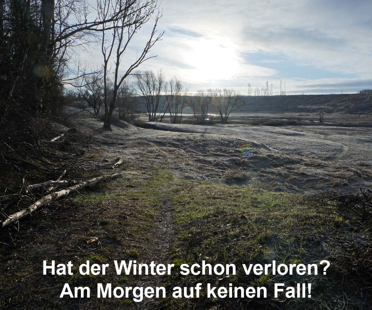 Mandelholz im Winter