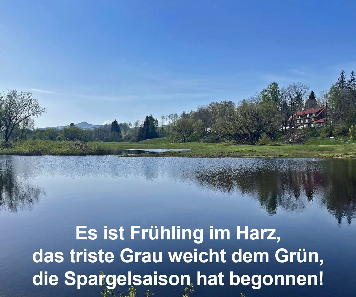 Frühling im Harz