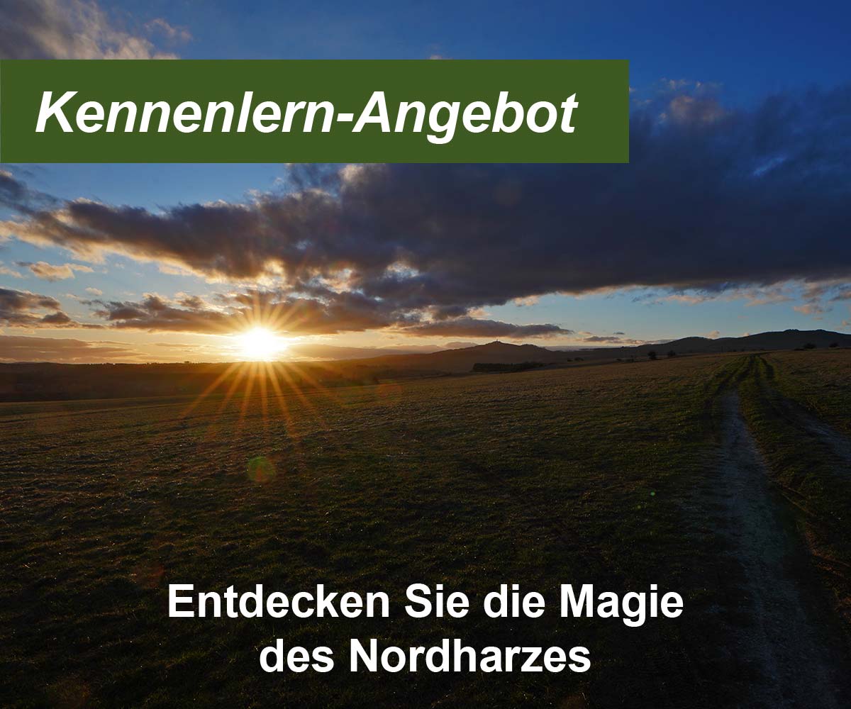 Nordharz entdecken