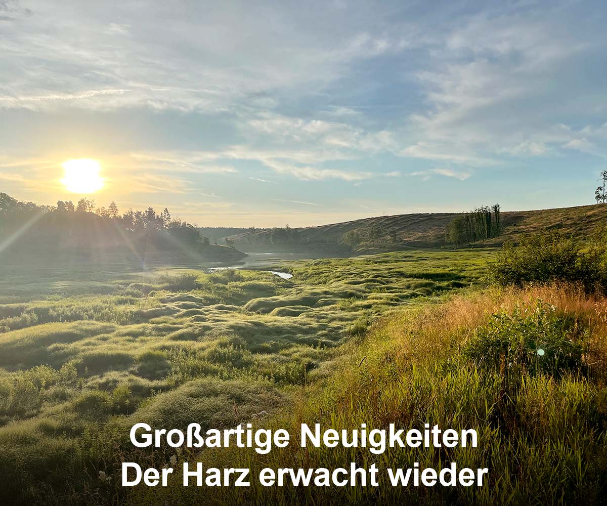 Der Harz erwacht