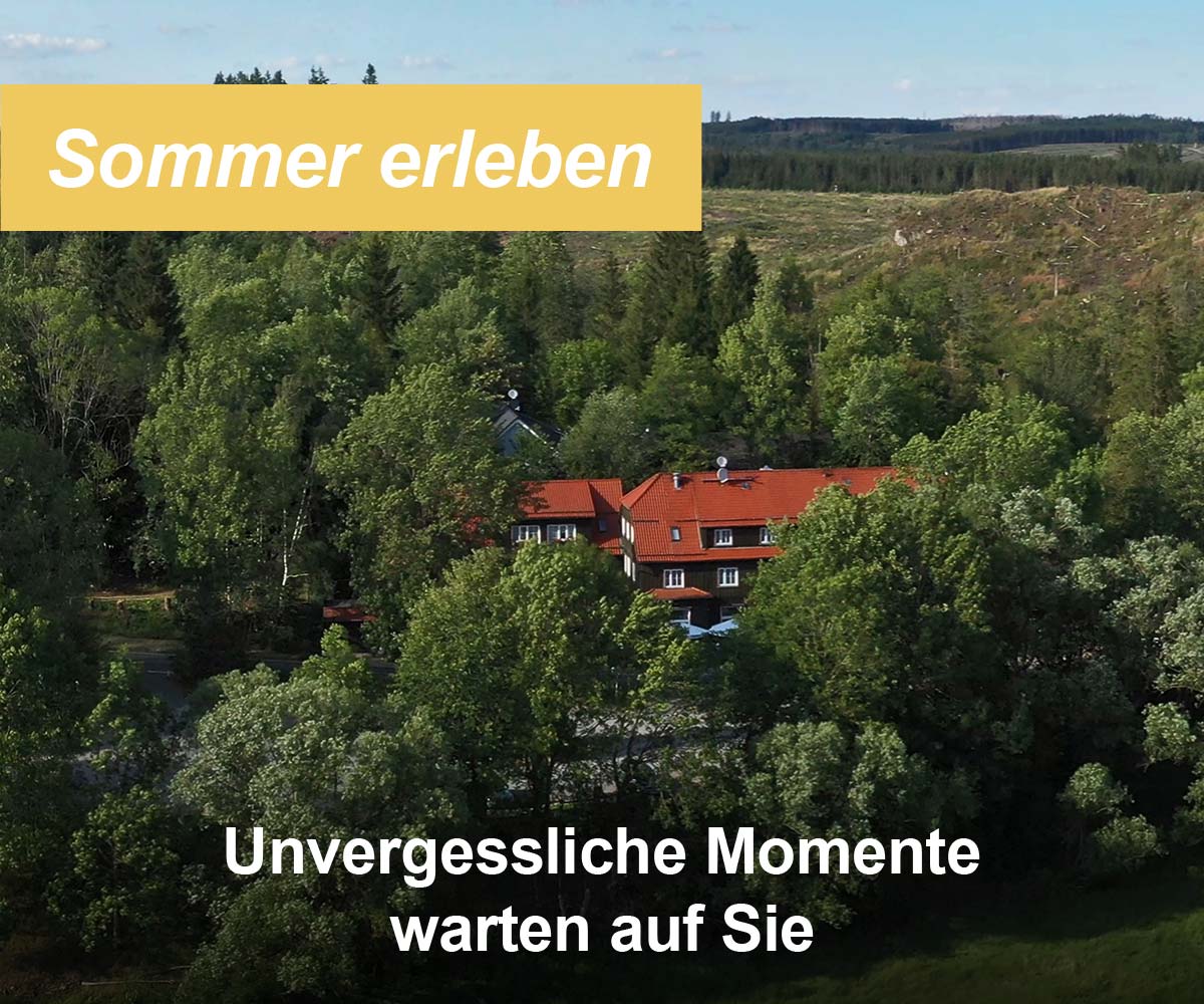 Angebot Sommer erleben