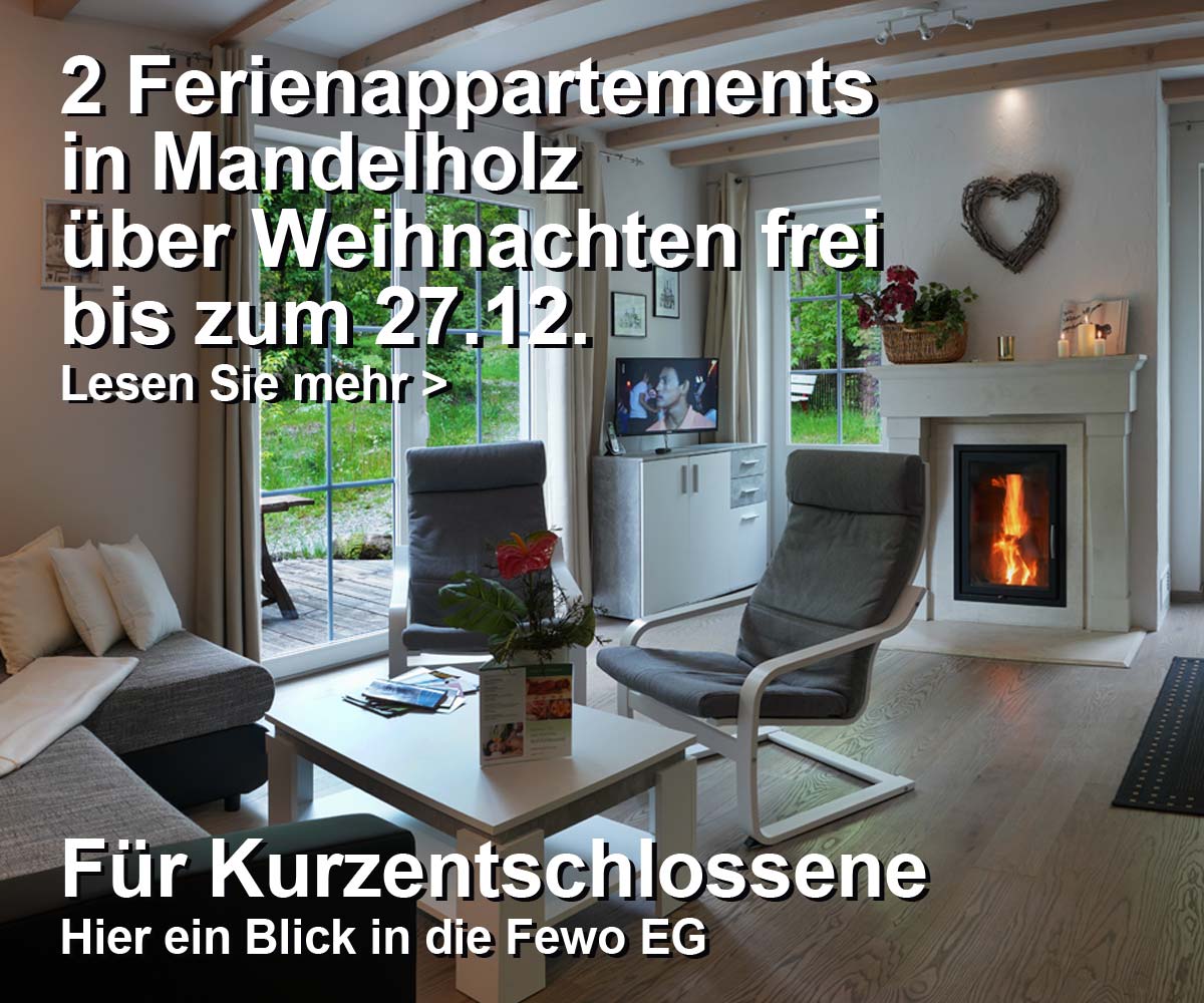 Ferienwohnung über Weihnachten mit Kamin und Wellness