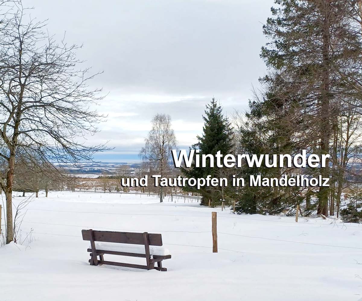 Winter im Harz
