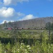 230543 fruehling-im-harz